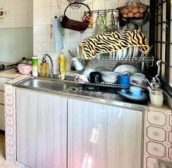 Blk 69 BLANGAH GARDEN (Bukit Merah), HDB 4 Rooms #566214351